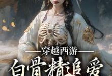 已完结小说《穿越西游：白骨精追爱悟空和三藏》章节在线阅读-经典文学