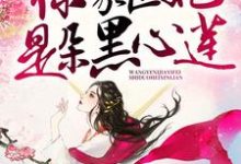 在线寻找王爷，你家医妃是朵黑心莲小说的无删减版本-经典文学