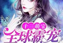 小说《十三萌宝:全球霸宠权太太》章节免费阅读-经典文学