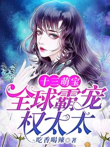 小说《十三萌宝：全球霸宠权太太》章节免费阅读