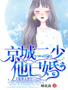 求宠妻入骨：京城二少他已婚小说免费资源