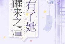 小说《醒来之后有了她》章节阅读-经典文学