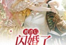 被渣后,闪婚了千亿霸总小说的所有章节都能在哪里免费读到?-经典文学