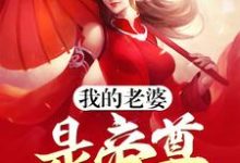 我的老婆是帝尊小说最新章节在哪里可以读到？-经典文学