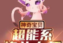 浩言小说神奇宝贝：超能系格斗大师章节免费阅读-经典文学