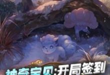 《神奇宝贝：开局签到阿罗拉六尾》小说章节在线试读，《神奇宝贝：开局签到阿罗拉六尾》最新章节目录-经典文学