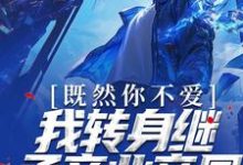 既然你不爱,我转身继承商业帝国苏墨风小说免费阅读-经典文学