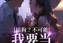 在线寻找舔狗？不可能，我要当最帅反派小说的无删减版本-经典文学