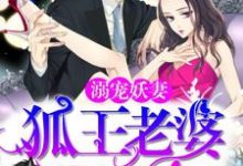 夜灵厉瑾琰雷泽墨九殇小说完结版在线阅读,溺宠妖妻:狐王老婆真绝色免费看-经典文学