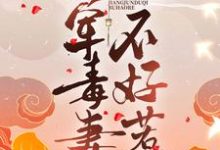 日久生情:将军毒妻不好惹小说的所有章节都能在哪里免费读到?-经典文学