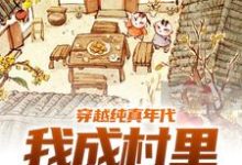 小说《穿越纯真年代，我成村里香饽饽》章节免费阅读-经典文学