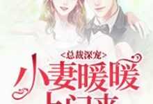 总裁深宠:小妻暖暖上门来小说,总裁深宠:小妻暖暖上门来沈暖风傅霆深沈婉茹何春华-经典文学