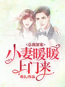 总裁深宠：小妻暖暖上门来小说，总裁深宠：小妻暖暖上门来沈暖风傅霆深沈婉茹何春华