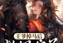 王爷掉马后,彪悍娘子收起爪牙小说有没有完结版在线?-经典文学