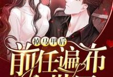 掉马甲后前任遍布全世界秦薇宋寒沉秦小远秦呦呦小说完结版章节在线阅读-经典文学
