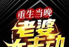 《重生当晚，老婆太主动》全集免费在线阅读（叶尽欢唐仲薇）-经典文学