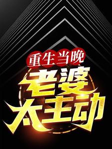 《重生当晚，老婆太主动》全集免费在线阅读（叶尽欢唐仲薇）