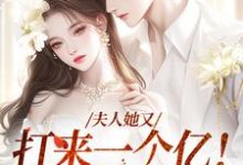司宸楚菱小说《夫人她又打来一个亿!这婚我结!》在线阅读-经典文学