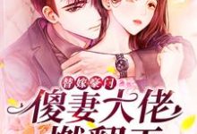完结版《替嫁豪门:傻妻大佬燃翻天》在线免费阅读-经典文学