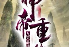 小说《神帝重生：九天最强赘婿》在线章节阅读-经典文学