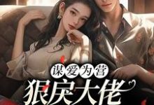 谋爱为营:狠戾大佬独宠我一人小说的免费电子版在哪里可以下载或阅读?-经典文学