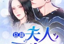 小说《总裁,夫人要生了!》在线章节阅读-经典文学