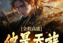 许长安小说全程高能:他是天族世子在线阅读-经典文学