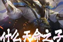 完结版《什么天命之子,我是神选反派》章节阅读-经典文学