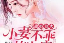 《甜婚似火：小妻不乖，撩上瘾》小说章节列表免费试读，叶南栀沈墨泽小说在线阅读-经典文学
