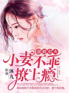 《甜婚似火：小妻不乖，撩上瘾》小说章节列表免费试读，叶南栀沈墨泽小说在线阅读