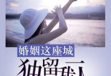 婚姻这座城，独留我一人小说全文阅读需要付费吗？寻找免费资源-经典文学