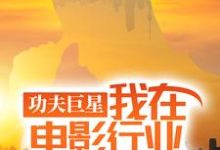 已完结小说《功夫巨星：我在电影行业做武替》在线章节阅读-经典文学