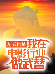 已完结小说《功夫巨星：我在电影行业做武替》在线章节阅读