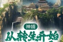 神婿:从转生开始称霸大唐小说最新章节在哪里可以读到?-经典文学