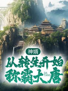 神婿：从转生开始称霸大唐小说最新章节在哪里可以读到？