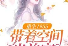 重生1955：带着空间当首富宋海宁陆思元，重生1955：带着空间当首富章节在线阅读-经典文学