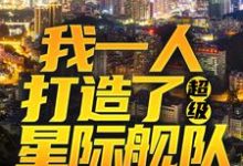 赵辰小说《我一人打造了超级星际舰队》在线阅读-经典文学