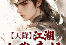 天降:江湖由我来护小说,天降:江湖由我来护叶鼎之百里东君-经典文学