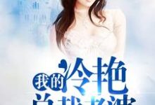 小说《我的冷艳总裁老婆》章节免费阅读-经典文学