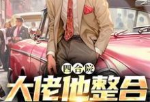 完结版《四合院大佬他整合全村资源》章节目录在线阅读-经典文学