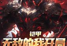 夏辰楚夭夭小说完结版在线阅读，铠甲：无敌的我开局捏出修罗铠免费看-经典文学