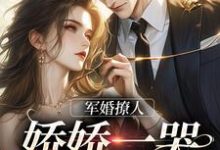 军婚撩人，娇娇一哭，他疯魔了小说有没有完结版在线？-经典文学