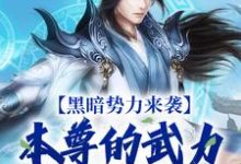 哪里能找到黑暗势力来袭,本尊的武力依旧强大小说的最新更新和免费章节?-经典文学