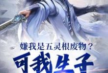 陈昀小说完结版在线阅读,嫌我是五灵根废物?可我生子就无敌免费看-经典文学