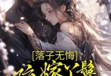 哪里能找到落子无悔,陪嫁丫鬟一心逃离小说的全部章节?-经典文学