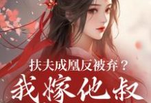 扶夫成凰反被弃？我嫁他叔笑哈哈小说无弹窗阅读的网站推荐-经典文学