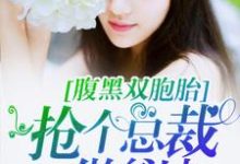 腹黑双胞胎:抢个总裁做爹地最新章节,腹黑双胞胎:抢个总裁做爹地章节在线阅读-经典文学