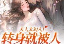 叶溪知肖维熠小说《夫人太勾人！转身就被人给拱了》在线阅读-经典文学