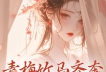 青梅竹马齐奔朝堂夺权势来娣宋天,青梅竹马齐奔朝堂夺权势在线无弹窗阅读-经典文学