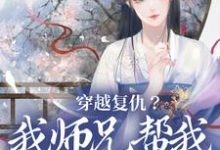 穿越复仇？我师兄帮我直接搞定小说的无弹窗阅读体验，寻找免费阅读网站-经典文学